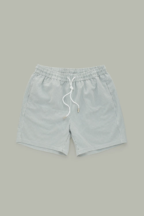 Carver Dark Green Seersucker Swim Shorts